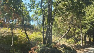 Land for sale in Mangualde, Portugal — €18,000