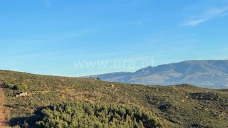 Land for sale in Mangualde, Portugal — €54,700