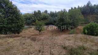 Land for sale in Tondela, Portugal — €15,000
