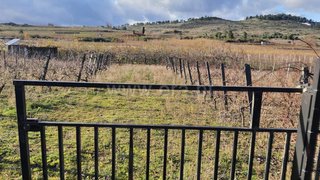 Terreno de 4200 m² em Armamar