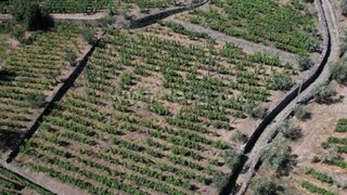 Land for sale in Lamego, Portugal — €67,500