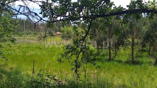 Terreno de 1130 m² em Viseu