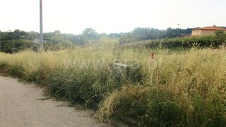 Land for sale in Sátão, Portugal