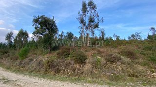Land for sale in Tondela, Portugal — €65,000