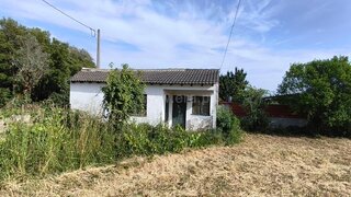 Land for sale in Nelas, Portugal