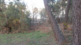 Land for sale in Mangualde, Portugal — €26,000
