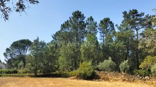 Terreno para venda em Mangualde, Portugal — 15 000 €