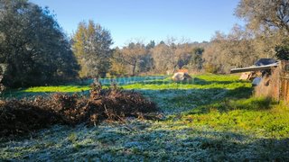 Land for sale in Penalva do Castelo, Portugal