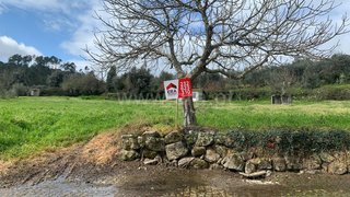 Land for sale in Mangualde, Portugal — €40,000