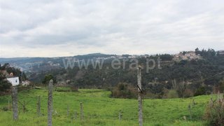 Terreno em Cinfães
