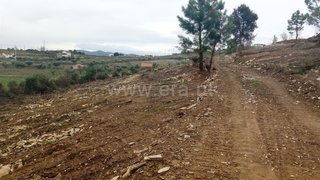 Land for sale in Tabuaço, Portugal — €78,000