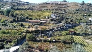 Land for sale in Lamego, Portugal — €25,000