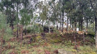 Land for sale in Mangualde, Portugal — €90,000