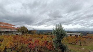 Terreno em Penalva do Castelo