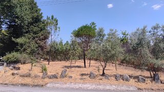 Land for sale in Carregal do Sal, Portugal — €31,000
