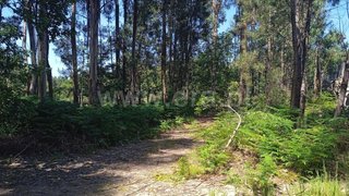 Terreno de 3840 m² em Viseu