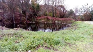Terreno em Mangualde