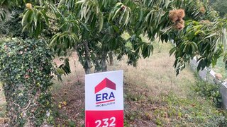 Terreno em Viseu · 5375 m² · 55 000 €