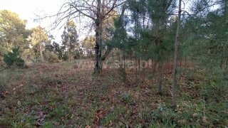 Land for sale in Cinfães, Portugal — €48,900