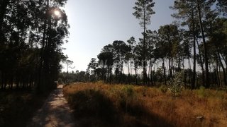 Land for sale in Mangualde, Portugal