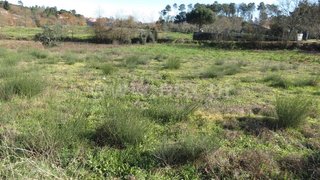 Terreno de 5733 m² em Viseu