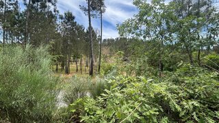 Land for sale in Mangualde, Portugal — €35,000