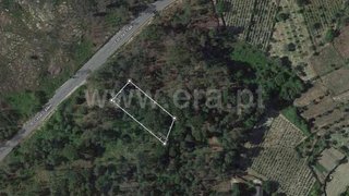 Terreno de 4800 m² em Viseu