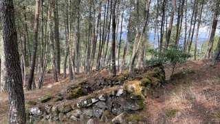 Land for sale in Resende, Portugal — €15,000