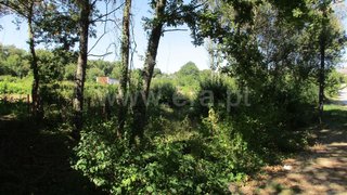 Terreno de 2116 m² em Viseu