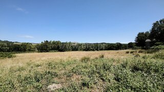 Land for sale in Mangualde, Portugal — €29,380