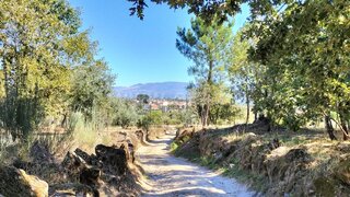 Land for sale in Mangualde, Portugal — €12,000