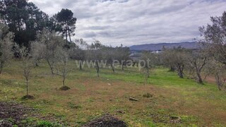 Land for sale in Lamego, Portugal — €85,000