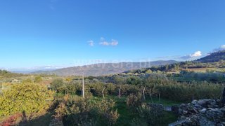 Terreno em Armamar