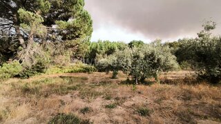 Terreno para venda em Nelas, Portugal — 22 000 €