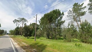 Land for sale in Carregal do Sal, Portugal — €60,000