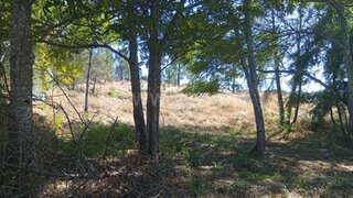 Land for sale in Mangualde, Portugal — €17,000