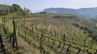 Land for sale in Lamego, Portugal — €420,000