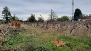Land for sale in Tondela, Portugal