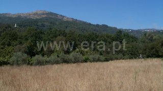 Land for sale in Tondela, Portugal — €28,000