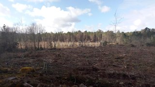 Terreno para venda em Mangualde, Portugal — 12 000 €