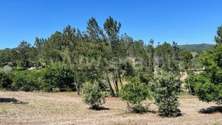 Land for sale in Mangualde, Portugal — €775,000
