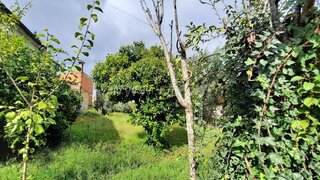Land for sale in Carregal do Sal, Portugal — €100,000