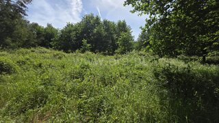 Land for sale in Tondela, Portugal — €35,000