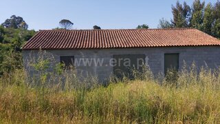Land for sale in Carregal do Sal, Portugal