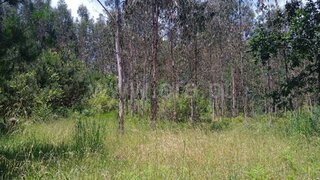 Terreno de 1428 m² em Viseu