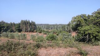 Land for sale in Tondela, Portugal — €59,000
