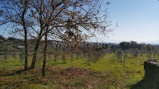 Land for sale in Tondela, Portugal — €30,000