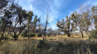 Land for sale in Penedono, Portugal — €12,500