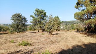 Land for sale in Mangualde, Portugal — €27,500