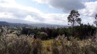 Land for sale in Penalva do Castelo, Portugal — €17,000